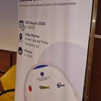3 seminario dumping contrattuale